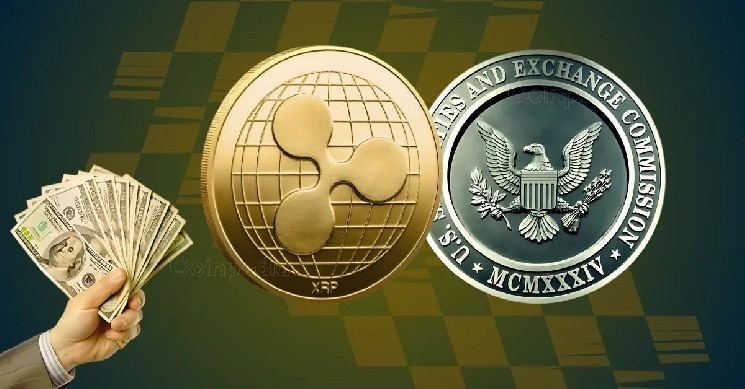 Ripple та SEC просять скасувати заборону: Адвокат висловлює сумніви щодо нового подання