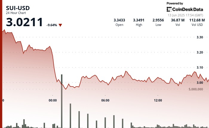 Криптовалюта SUI: Падіння цін і боротьба за підтримку в умовах нестабільного ринку