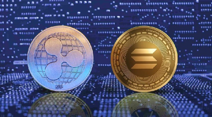 Компанії планують купити Solana та XRP: чи варто вірити в ці оголошення?