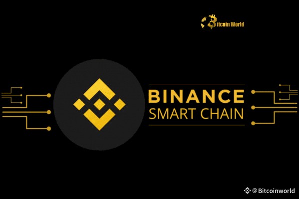 Фонд BSC інвестує $250,000 у ключові токени для зміцнення екосистеми BNB Smart Chain