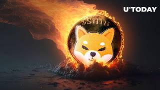 Shiba Inu зростає: деталі успішного тижня