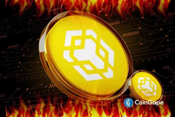 Binance Chain випередила Solana у торгах мемкойнами, займаючи 45% ринку DEX