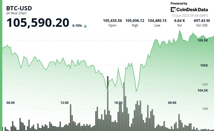 Биткоин как новая американская мечта: молодое поколение стремится стать владельцем целого BTC