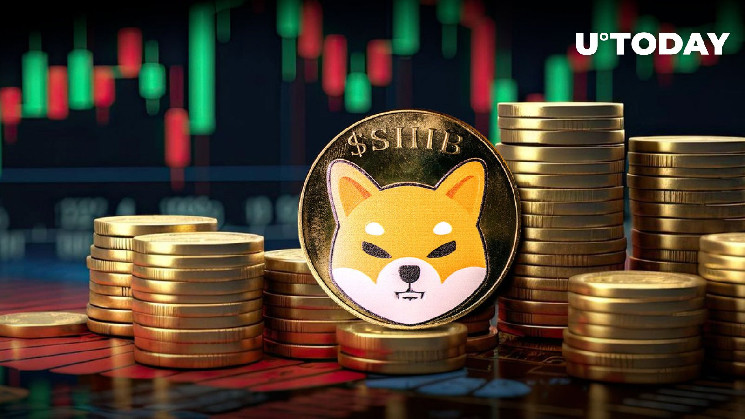 Взрыв транзакций: Как повлияет на Shiba Inu (SHIB)?