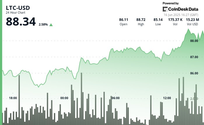 Лайткойн растет на фоне ожиданий одобрения спотового ETF и увеличения накоплений китов