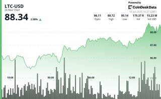 Лайткойн растет на фоне ожиданий одобрения спотового ETF и увеличения накоплений китов