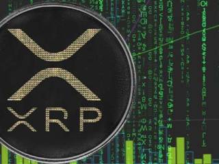 XRP Ledger показывает рост: рекордное количество уникальных адресов и запуск ETF на Торонто фондовой бирже