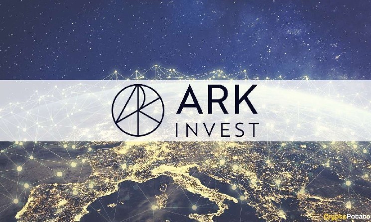 Ark Invest распродала акции Circle на 51.7 миллиона долларов на фоне рекорда цен на стейблкоины