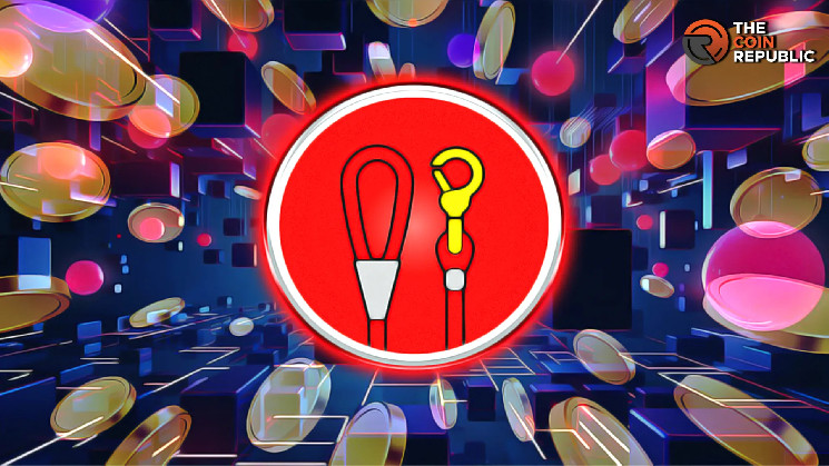 Кінцевий посібник по криптовалюті Doge Killer (LEASH) - огляд та інструкції