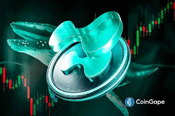 Цена HYPE готова к росту на 70%: китовые инвесторы открывают длинные позиции на $12 млн