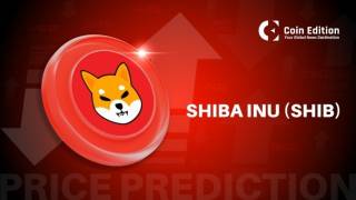 Цена Shiba Inu: есть ли шанс вырасти на 60% к концу года?