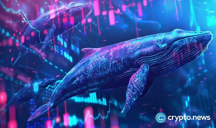 Продаж 10.9 мільйона токенів Moonpig: стратегія чи відчайдушний крок Джеймса Уїна?