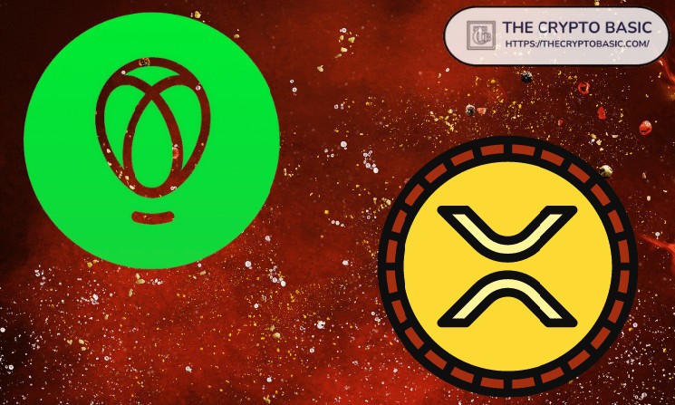 Uphold запускает акцию для держателей XRP: получите бесплатные токены ZBCN!