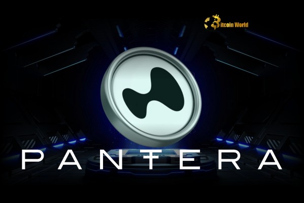 Pantera Capital получает 4,5 миллиона долларов в токенах HYPE от Nonco: значительное движение в криптоинвестировании