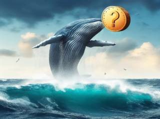 Кит с 100% успехом переживает убытки: долгие сделки в BTC, ETH, SOL и LINK оборачиваются кризисом.