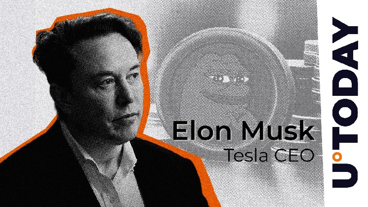 Илон Маск подогревает интерес к мемной монете PEPE своими твитами и предсказаниями о будущем ИИ