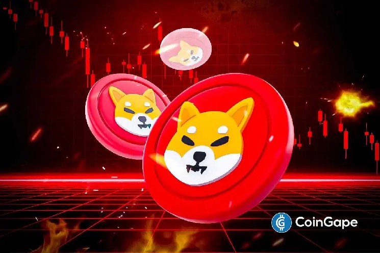 Цена Shiba Inu может упасть на 50% несмотря на сжигание 12 миллионов токенов SHIB