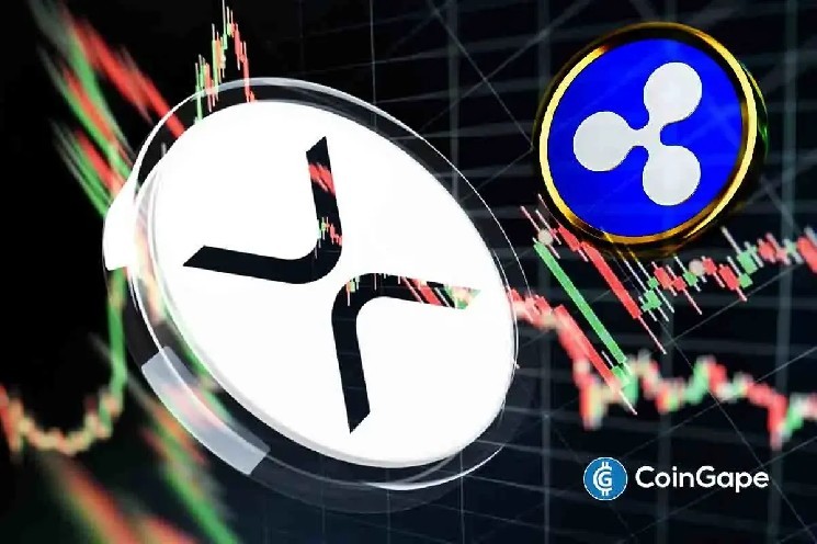 Адвокат Ripple спростував чутки про вилучення XRP-кешу урядом США