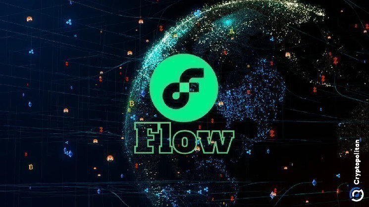 Прогноз цен на Flow: стоит ли инвестировать в монету FLOW до 2031 года?