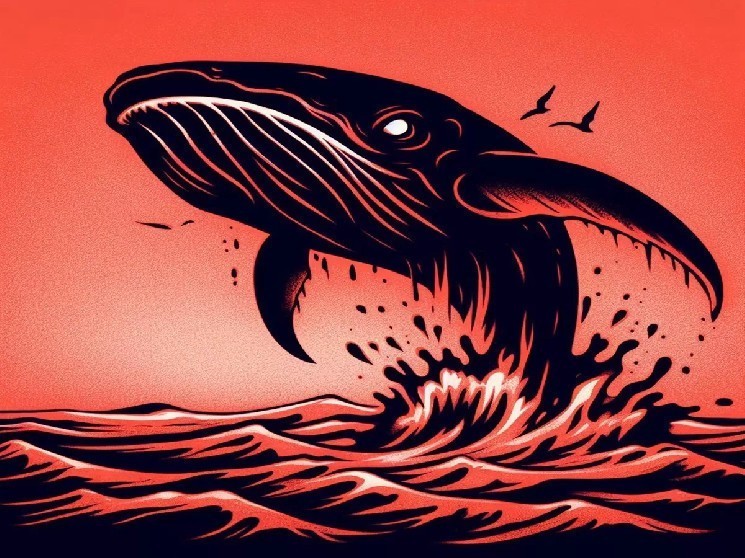 Разработчики мемкойны TRUMP перевели активы на Binance: продали ли они токены?