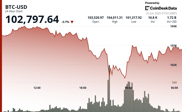 Биткойн преодолел $102,000 после резкого падения: рынок реагирует на волатильность и растущий объем торговли