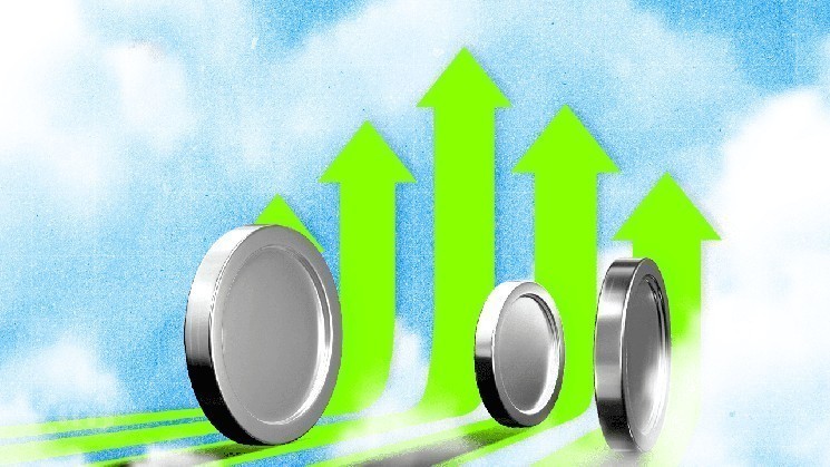 IP показывает рост на 4% против общего спада рынка, но трейдеры ставят на снижение: слабая поддержка и негативные метрики. Каковы шансы на отскок?