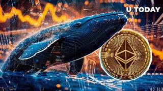 Кити Ethereum масово продають токени на фоні великої ліквідації: що відбувається з ринком?