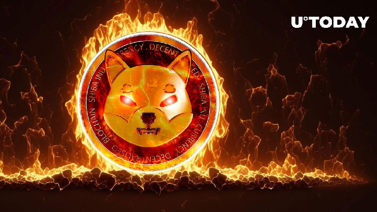 Шиба Ину повышает скорость сжигания токенов.