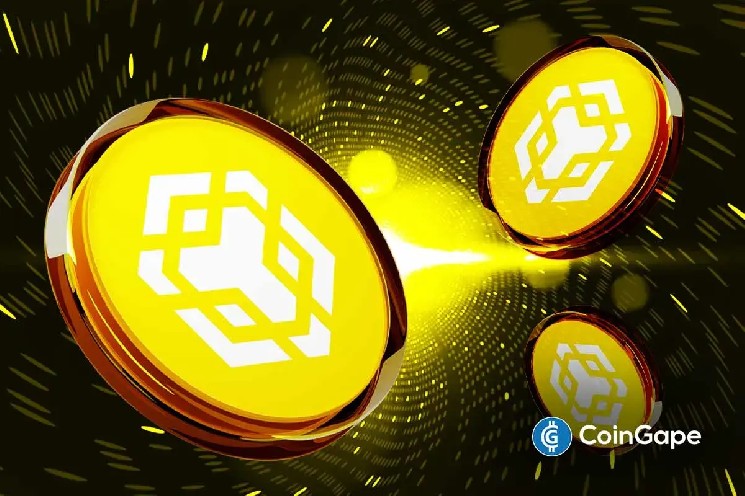 Хедж-фонды собираются инвестировать 100 миллионов долларов в Binance Coin по стратегии Майкла Сэйлора