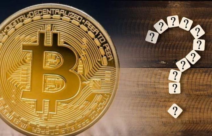 XRP: Потенциал роста и недооцененность на Уолл-стрит по мнению CEO Teucrium
