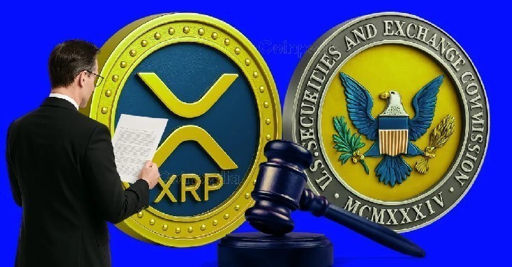 SEC і Ripple: Хаос навколо апеляції та спроба створити правила для криптоіндустрії