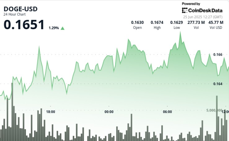 Dogecoin продолжает расти: поддержка на уровне $0.165 и признаки устойчивого интереса к покупке