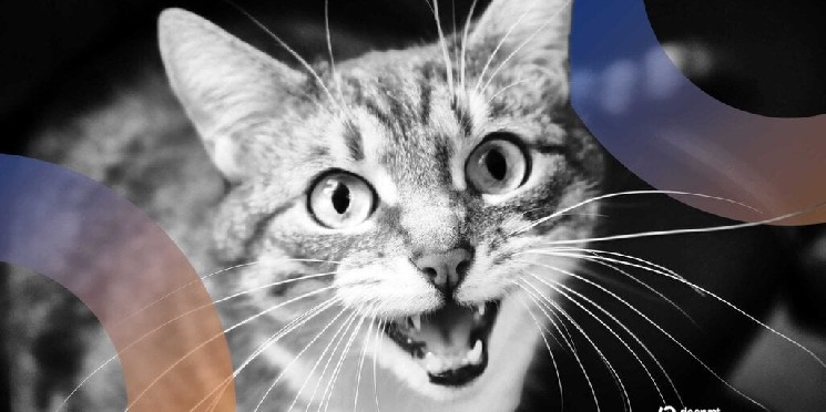 Baidu разрабатывает ИИ для перевода мяуканья кошек на человеческий язык