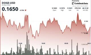 Бичачі настрої Dogecoin: підтримка на рівні 16 центів і спекуляції навколо Elon Musk