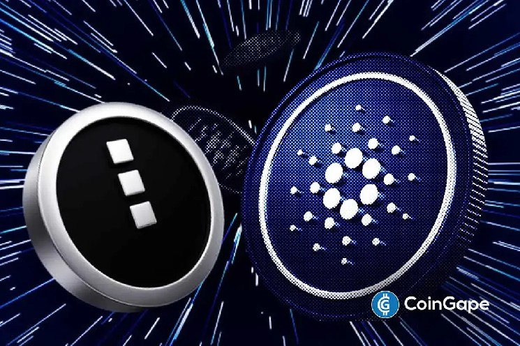 Восторг от airdrop Glacier Drop: 670,000 упоминаний Midnight за неделю и рост интереса к Cardano