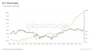 Неопределенная масса биткойнов: более 14 миллионов BTC хранится на долгосрочные инвестиции