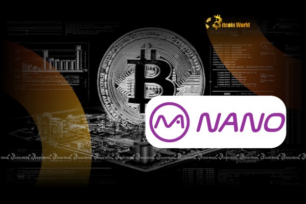 Стратегия Nano Labs: увеличение биткойнов до 1,000 и укрепление позиций в криптовалютном секторе