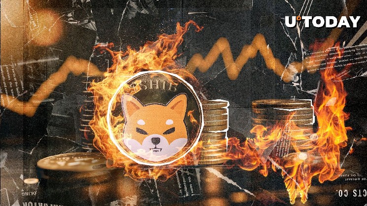 Знищення SHIB зросло на 12,8%, але ціна залишилася стабільною: попередження про підроблені монети