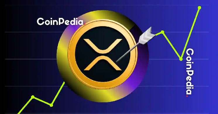 Активність китів на ринку XRP: скупка токенів на $915 млн та зростання інтересу користувачів