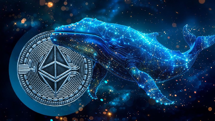 Сплеск накопичення Ethereum: великі інвестори готуються до цінового ралі?