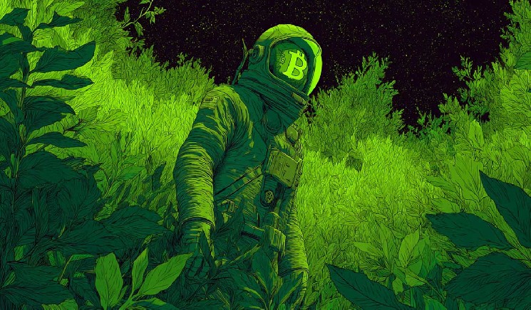 Биткойн на пороге роста: аналитик прогнозирует перспективы и уровни поддержки