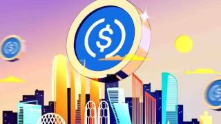 Північна Корея використовує USDC: Circle ігнорує санкції під час подачі заявки на банківську ліцензію в США
