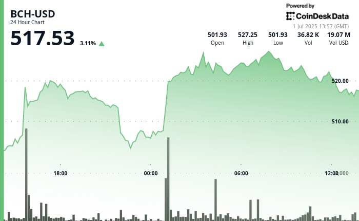 Биткойн кэш демонстрирует рост на 5% и бычий золотой крест против BTC