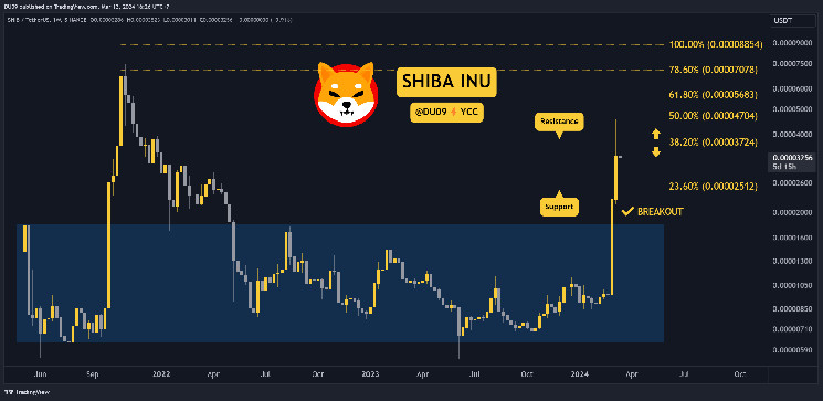 SHIB Bull Run под угрозой: анализ цены Shiba Inu