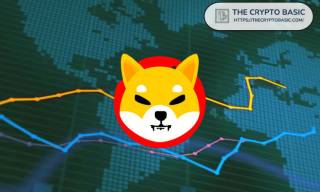 Інвестори вкладаються у Shiba Inu більше, ніж в Solana та Cardano