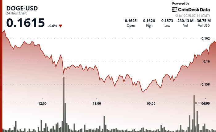 Dogecoin відновлює стабільність після формування бичачого подвійного дна: ріст до 16 центів та ознаки зміни тренду.