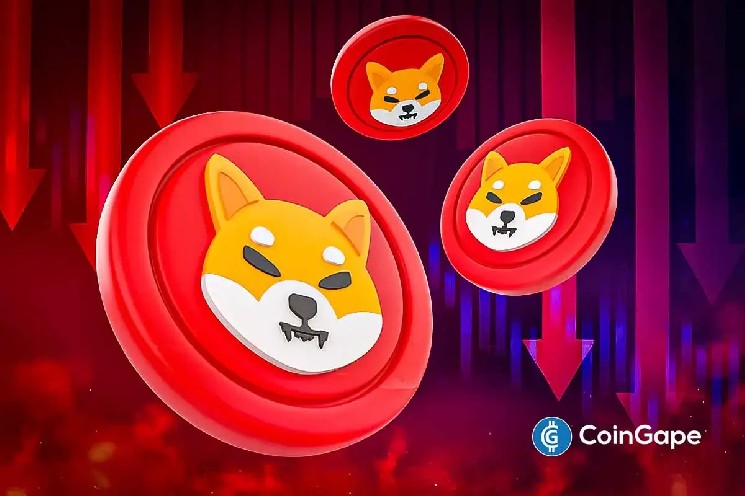 Ціна Shiba Inu продовжує падіння: пять причин зниження вартості SHIB