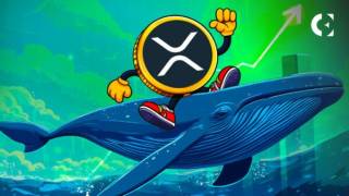 Ripple подала заявку на отримання банківської ліцензії в США на фоні зростання XRP та накопичення китів
