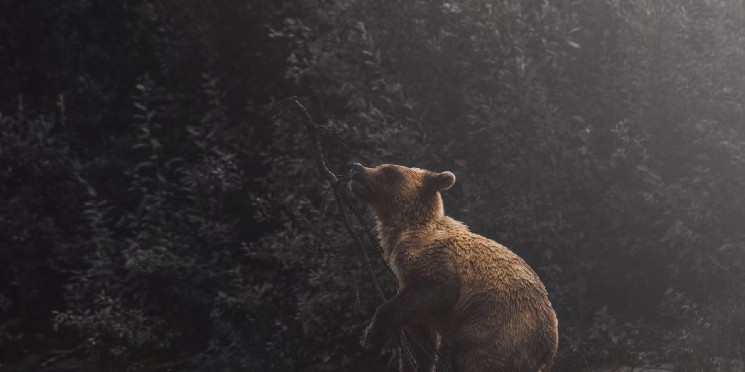 Трейдеры усиливают короткие позиции на фоне роста биткойна к рекорду в $112,000