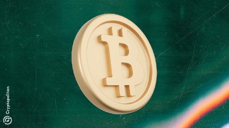 Тренд утримання BTC у 2025 році: зросла активність накопичення та зменшилась спекулятивна торгівля